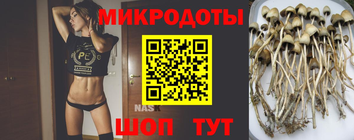 Бузулук  Псилоцибиновые грибы MAGIC MUSHROOMS  Псилоцибиновые грибы Psilocybine cubensis  Вход с VPN 